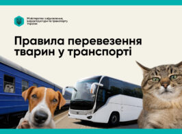 тварин