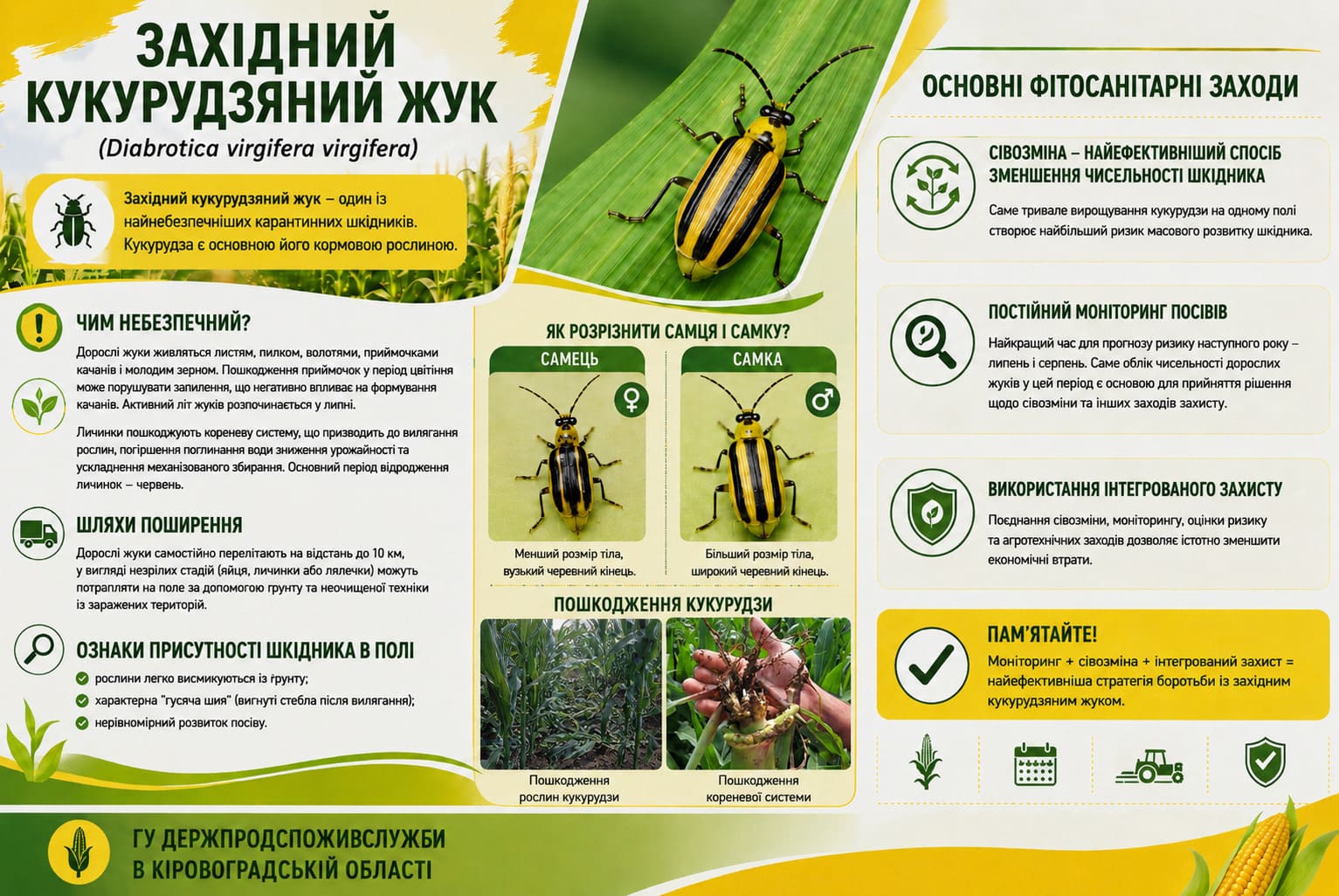 Zakhidnyi 11 08 2026 1