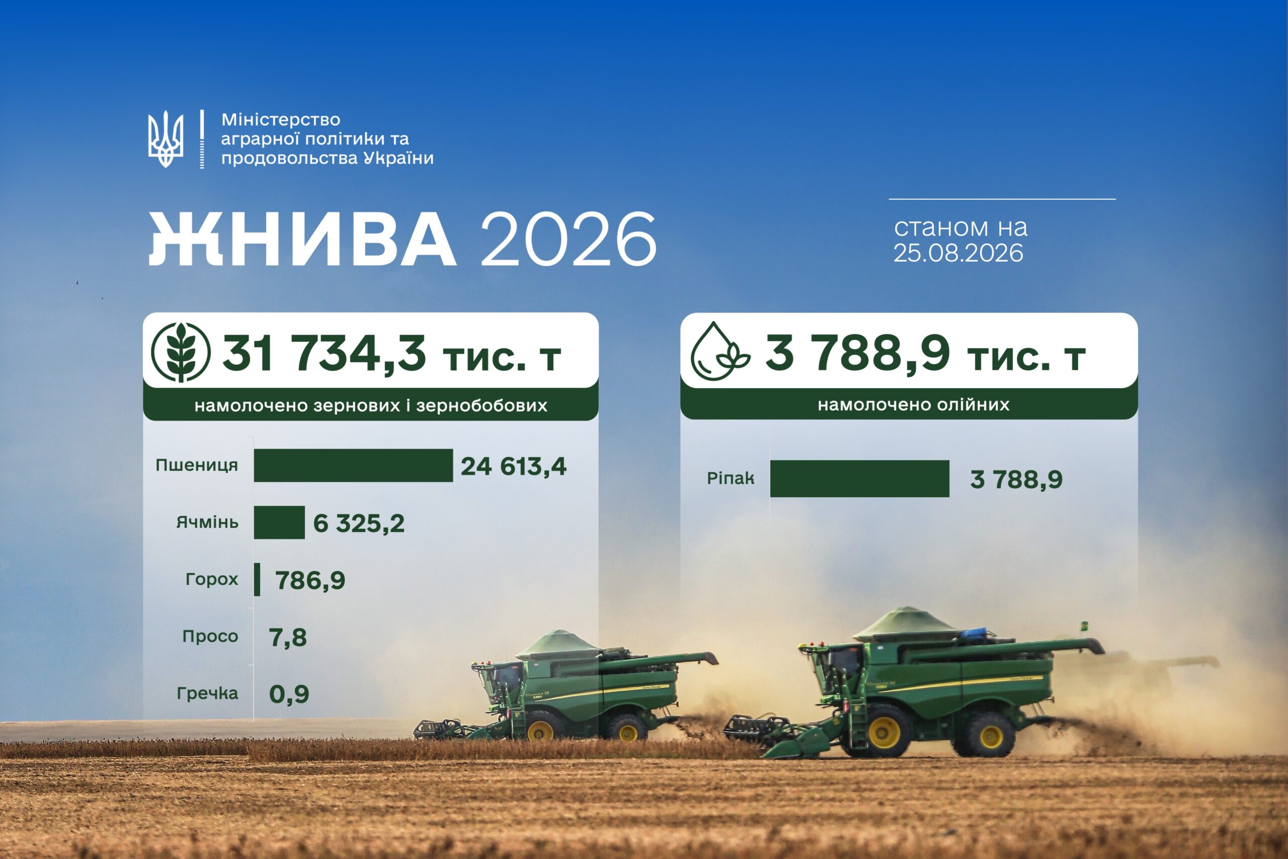 жнива