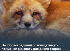 ска