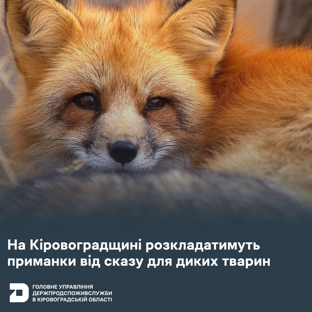 ска