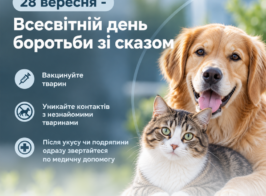 сказ