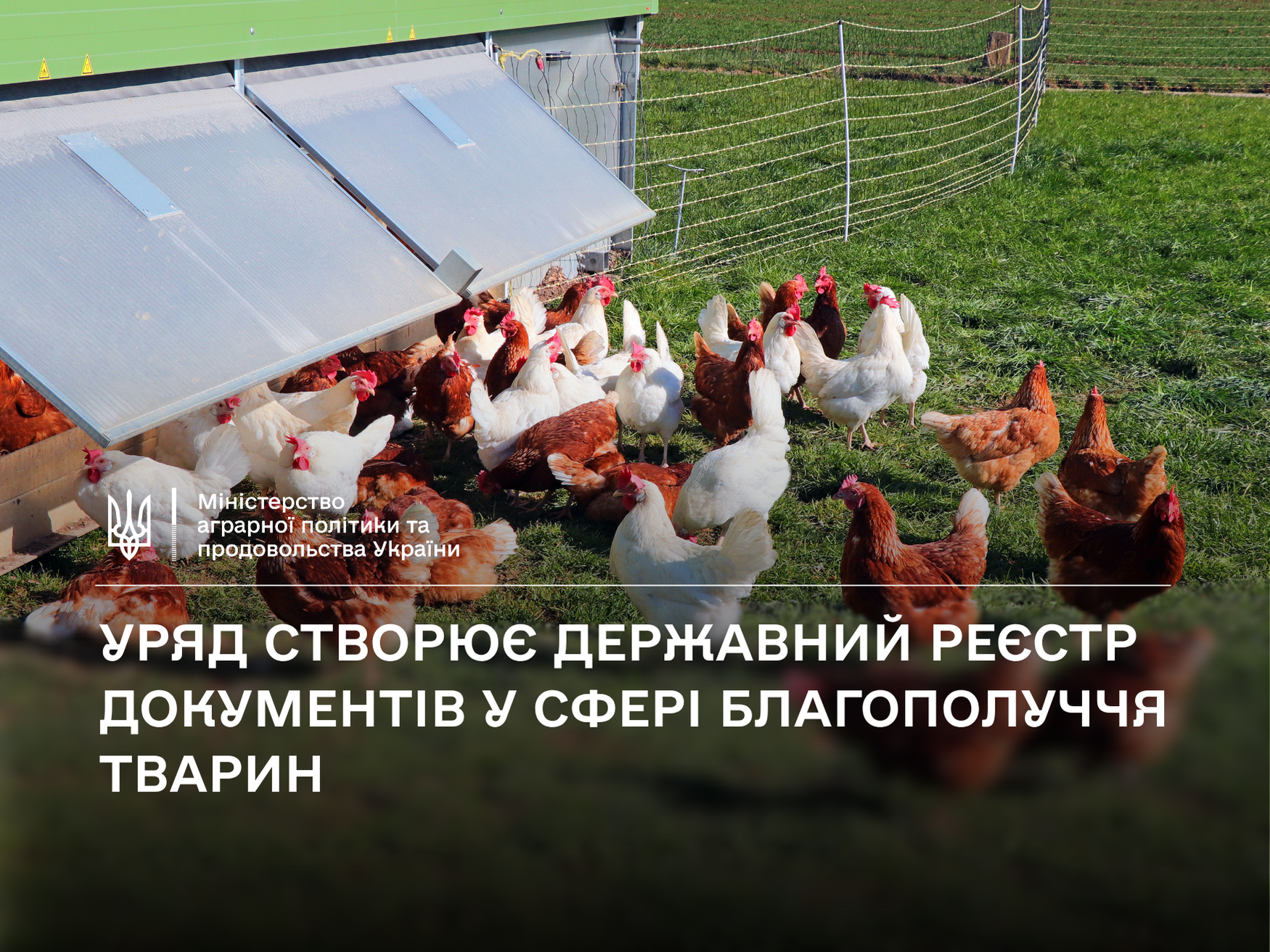 Stvoryue Derzhavnii Reestr Dokumentiv U Sferi Blagopoluchchya Tvarin
