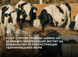 дар