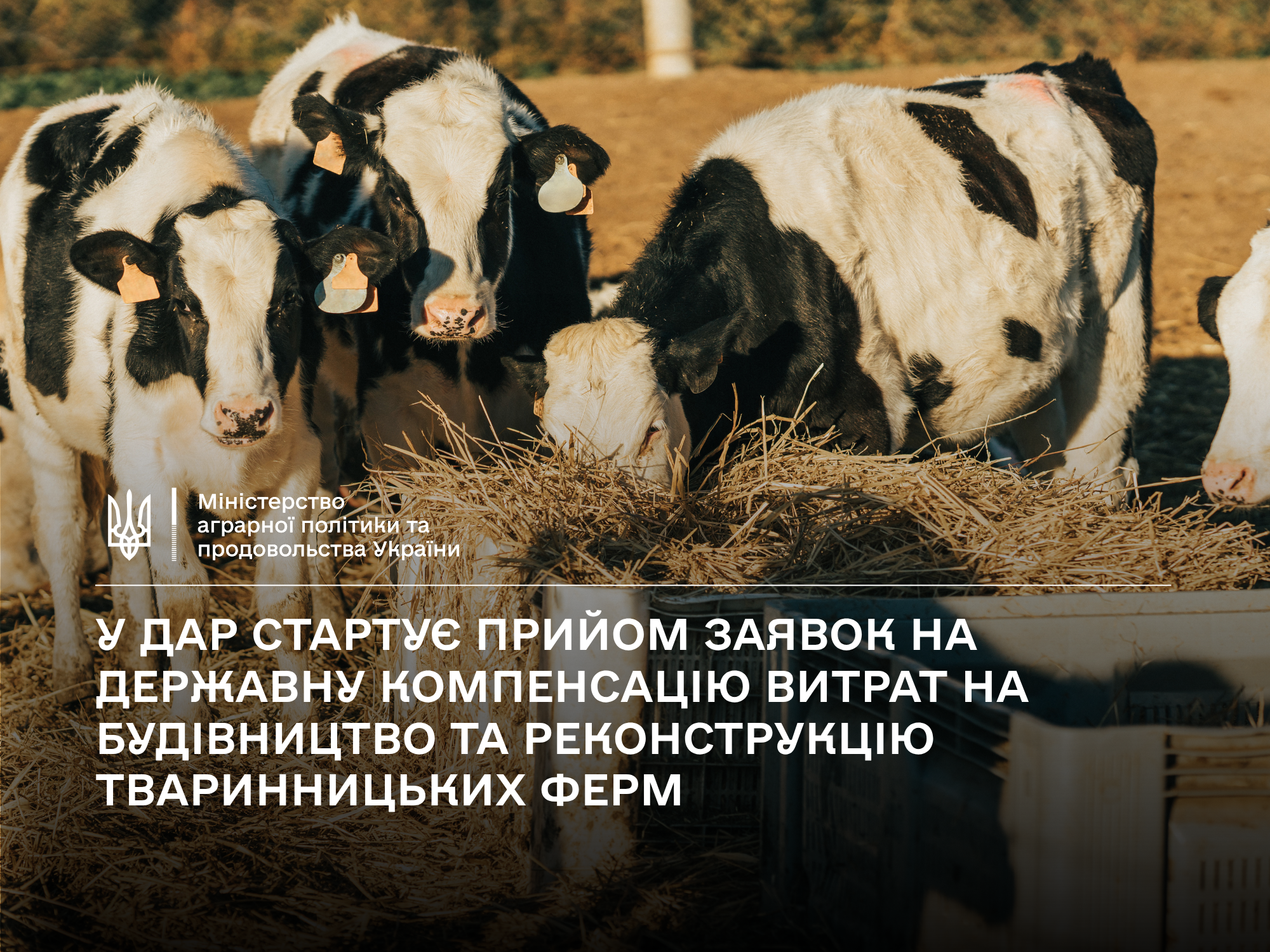 дар