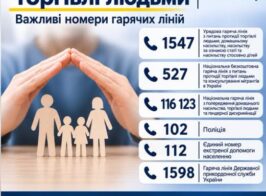 гарячі лінії