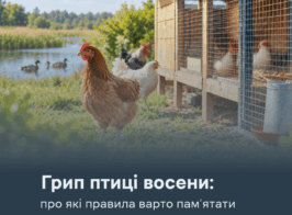 грип