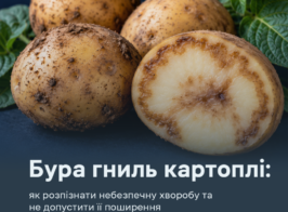 карт