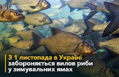 риба